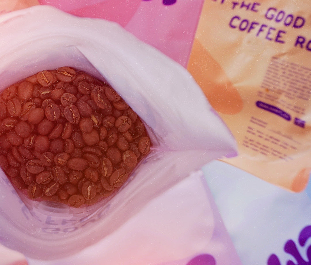 Christmas Bundle - Filter