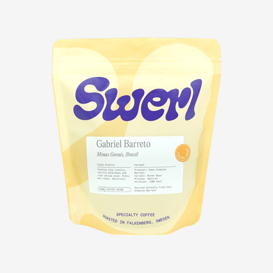 Gabriel Barreto - Brazil